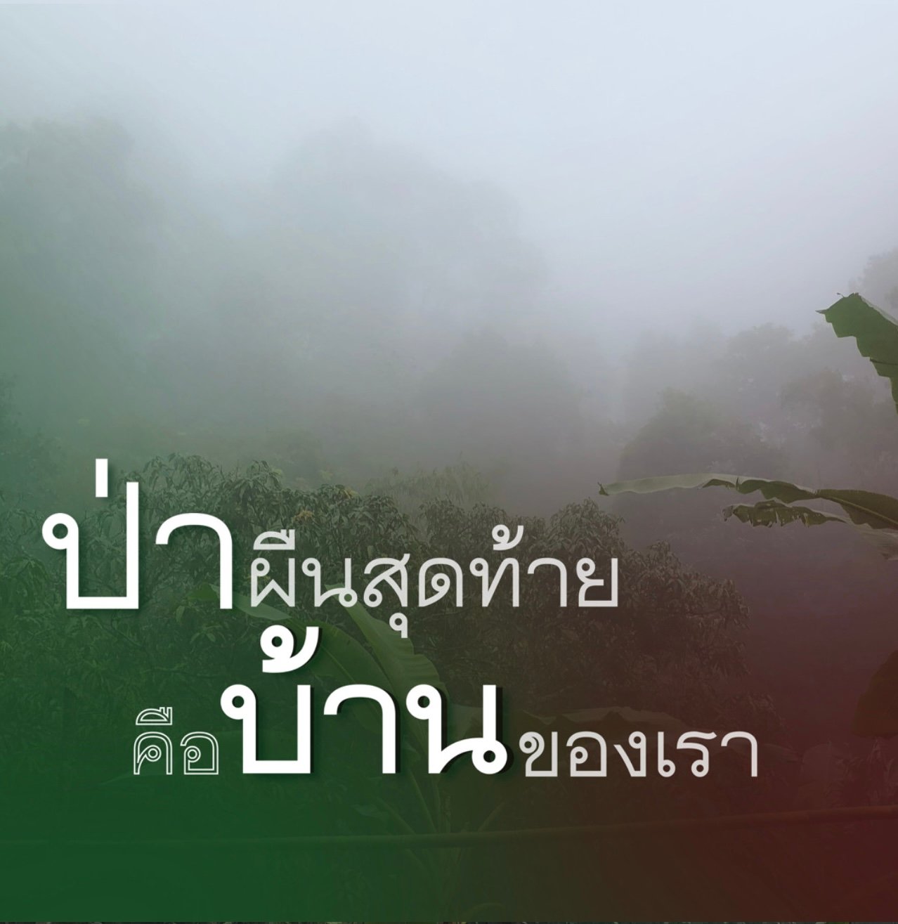 ชุมชนคนอยู่กับป่าเปิดแคมเปญ &ldquo;ป่าผืนสุดท้ายคือบ้านของเรา&rdquo; ย้ำชุมชนไม่ใช่ผู้ร้ายไฟป่า เรียกร้องสังคมทบทวนความเข้าใจปัญหา PM2.5