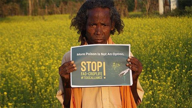 UN FAO urged to abandon controversial pesticide industry