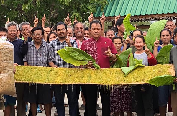 ศรีสุวรรณจ่อนำชาวไร่ยาสูบร้อง ป.ป.ช.เอาผิด ก.คลังเอื้อประโยชน์ให้ บ.บุหรี่นอก