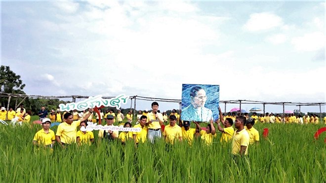 นาสร้างสุข สร้างสุขนอกกรอบด้วยศาสตร์พระราชา