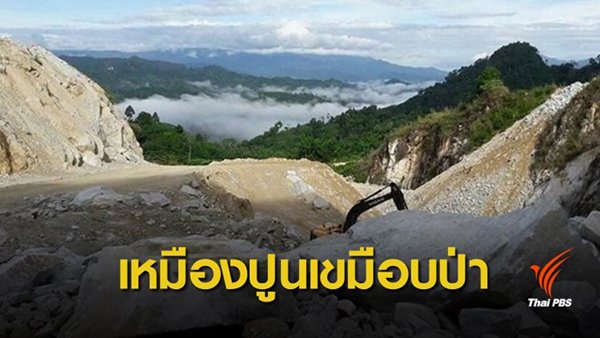 ความเห็นต่อกรณี  รัฐบาลออกมติคณะรัฐมนตรีให้ SCG เข้าทำประโยชน์ในเขตป่าสงวนแห่งชาติ