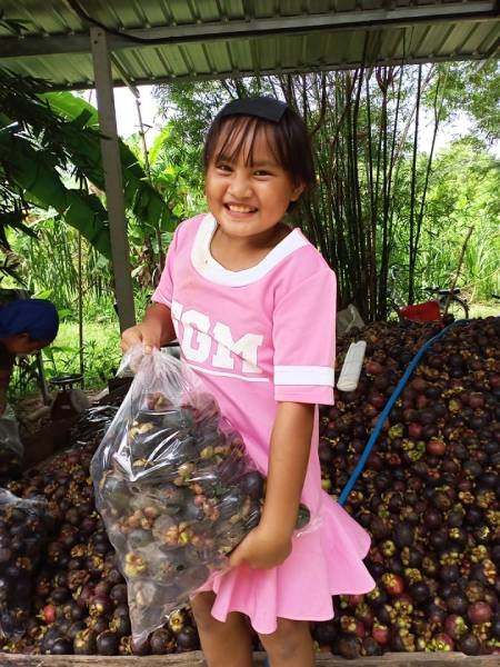 ปฏิบัติการแก้ปัญหาคนจน ตอนที่ 4  แบรนด์ บริษัท และ การเมือง