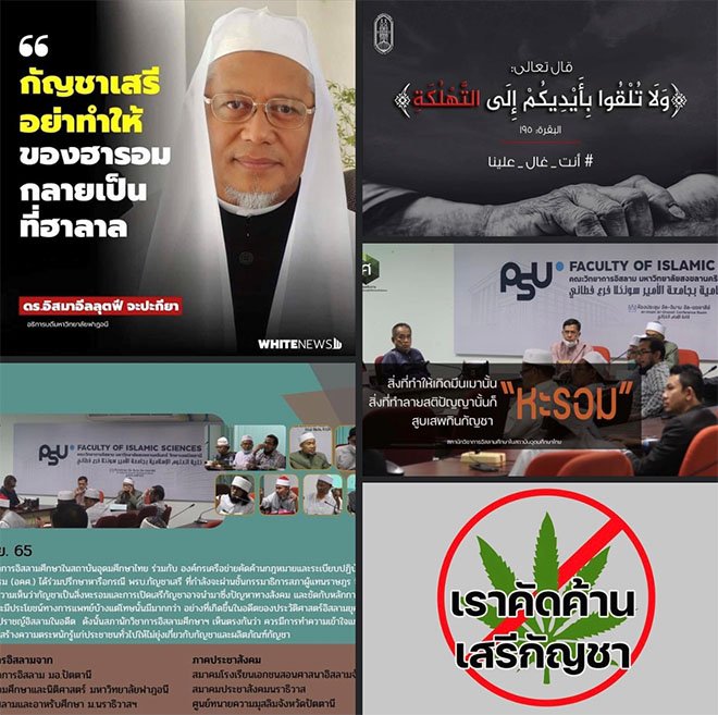 เสนอชายแดนภาคใต้  “เขตปลอดกัญชา”