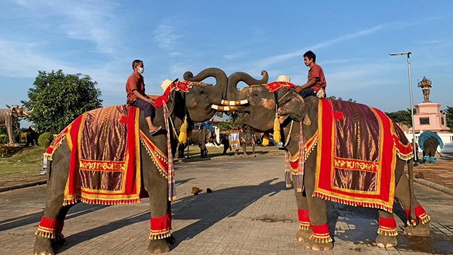 การสร้างวัฒนธรรมในการแค้มปิ้ง ( จากไร่ทวนลม สู่ ทมอโรย )