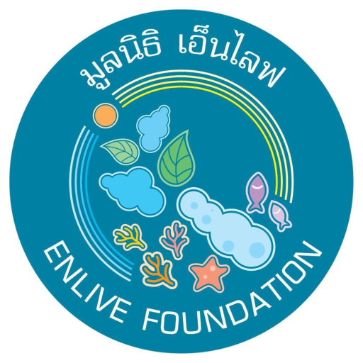 ผู้อำนวยการมูลนิธิ