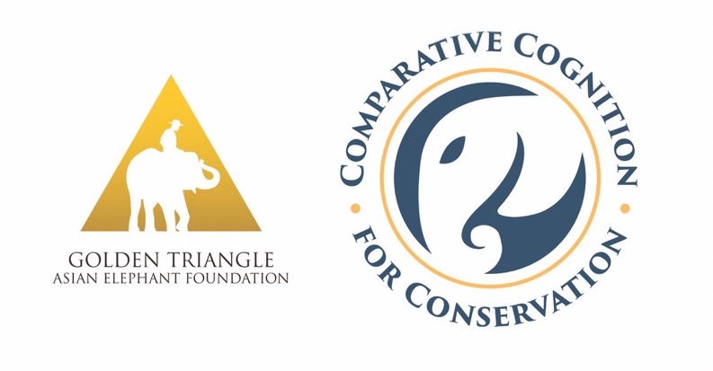 Field Team Researcher, Salakpra Elephant Behavior Project