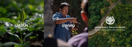 Sustainability Assistant Manager-Sustainability Advisory (SuA)