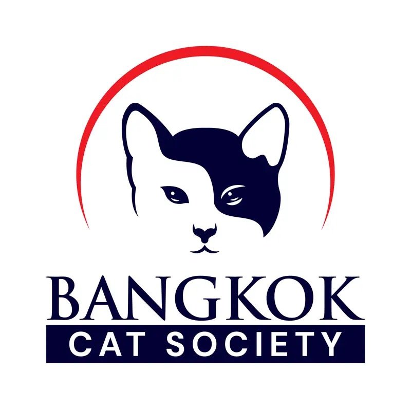 Cat Catcher/Driver in Bangkok, Thailand (คนดักและขับรถจับแมว ในกรุงเทพฯ ประเทศไทย)