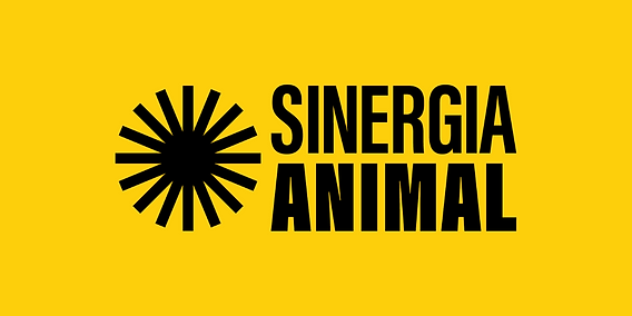 CAMPAIGN MANAGER - THAILAND