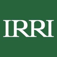 Associate Scientist – Agricultural Economist