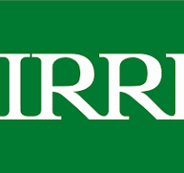 Officer - Accounting