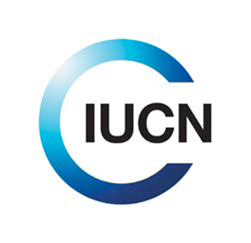 Programme Associate