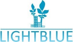 Junior Consultant Internship (LightBlue Consulting)