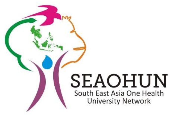 2018 Financial Audit of SEAOHUN Foundation