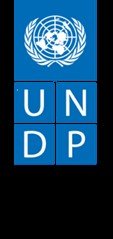 Programme Associate (Democratic Governance and Social Advocacy)
