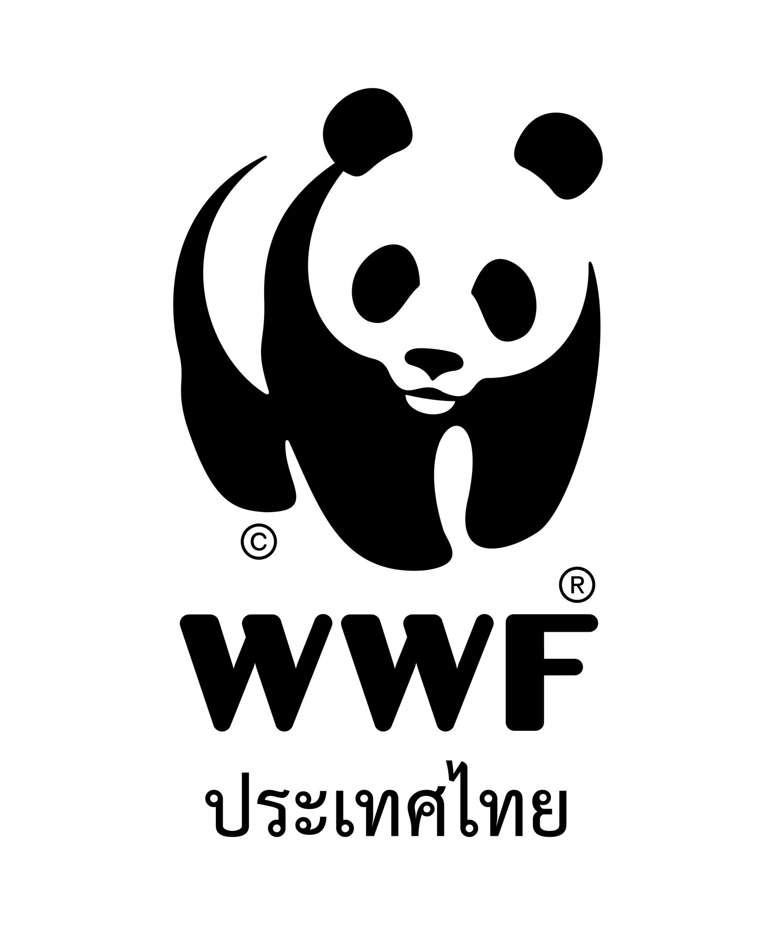 Kuiburi Project Finance and Administration Officer