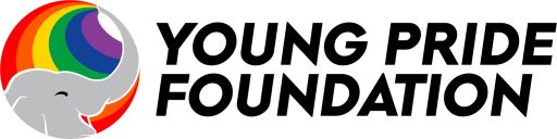 Youth Coordinator Consultant