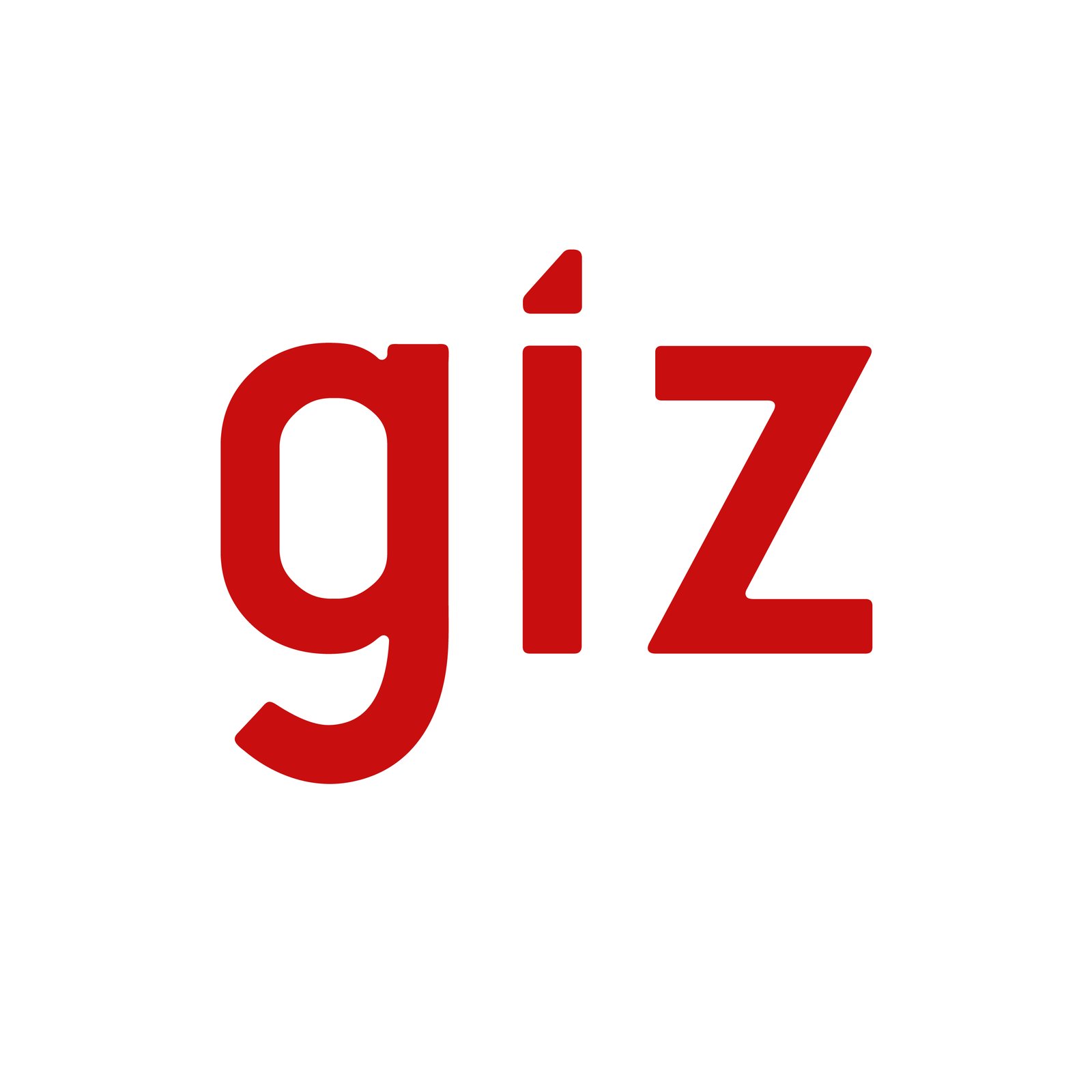 Project Coordinator (Mitigation)