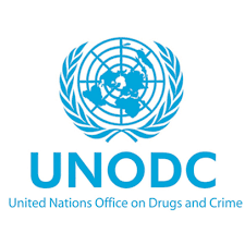 Programme Associate (Service Contract/ SB3)