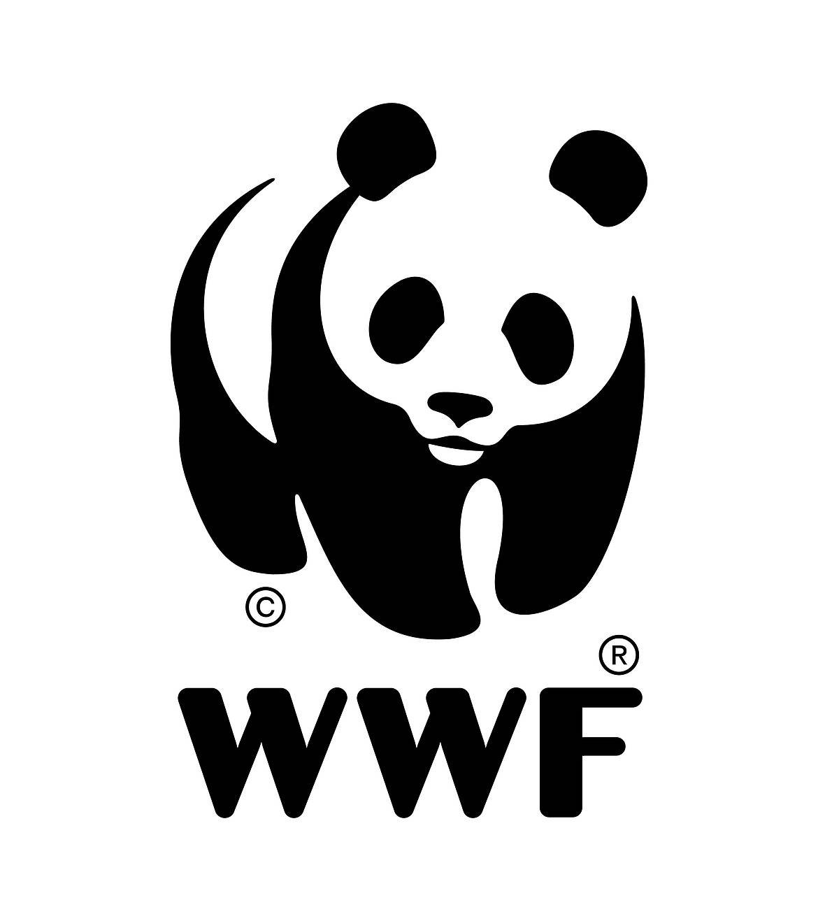 Field Project Coordinator  (Southern part of Thailand)