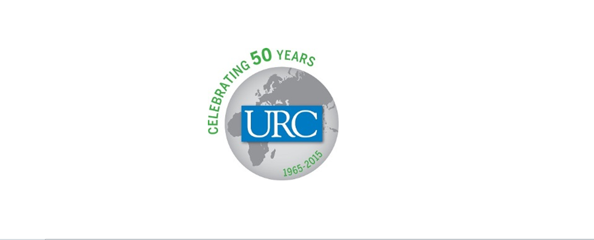 Consultant for Systematization of Experiences and Learnings