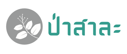 Senior Researcher (Bangkok, Thailand)